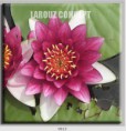 /album/photo-gallery-canvas-uri/decoratiuni-de-perete-canvas-lc-0013-jpg/